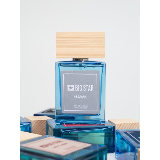 WODA PERFUMOWANA MĘSKA DRZEWNO-OWOWCOWO-MORSKA HAWK 100 ML 100 ml Big Star