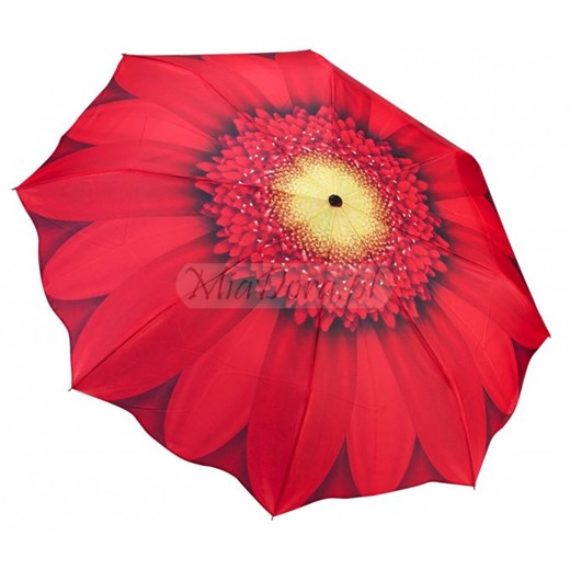 Czerwona Gerbera Afrykańska mała parasolka damska Galleria parasole-miadora-pl czerwony abstrakcyjne wzory