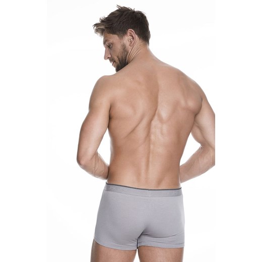 Szare bokserki męskie z dłuższymi nogawkami Iron, Kolor szary, Rozmiar M, Julimex ze sklepu Intymna w kategorii Majtki męskie - zdjęcie 137659791