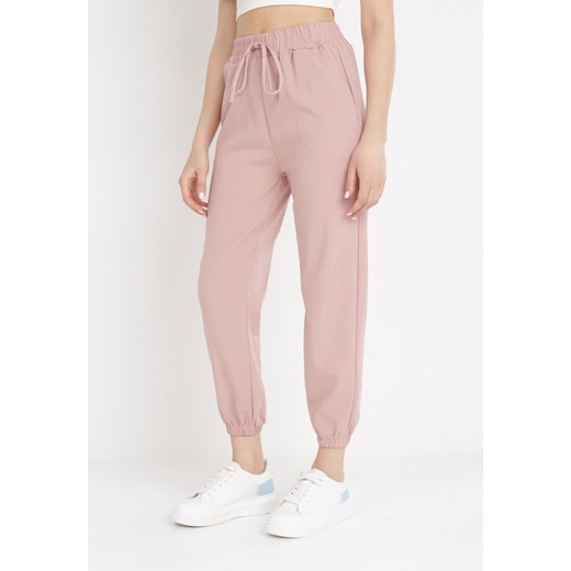 Różowe Spodnie Euphippe ze sklepu Born2be Odzież w kategorii Spodnie damskie - zdjęcie 138253854