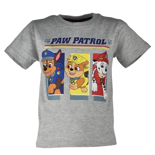 T-shirt dla dzieci Psi Patrol Szary Licencja 98 Sklep Dorotka