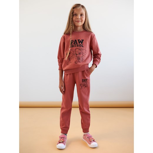 Sinsay - Bluza Psi Patrol - Brązowy Sinsay 128 Sinsay