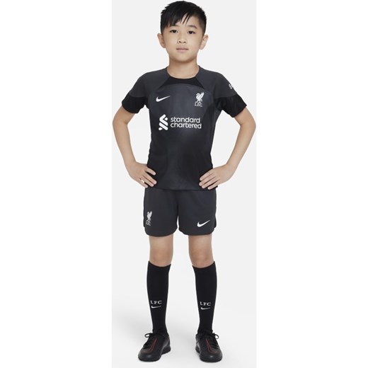 Strój piłkarski dla małych dzieci Nike Liverpool F.C. 2022/23 Goalkeeper - Szary Nike L Nike poland