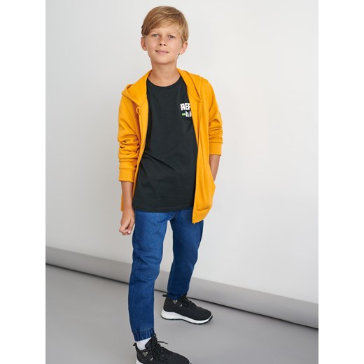 Bluza chłopięca Sinsay bawełniana