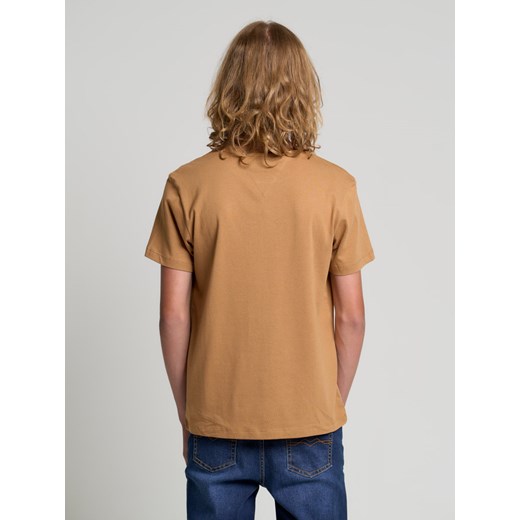 T-shirt chłopięce BIG STAR brązowy 