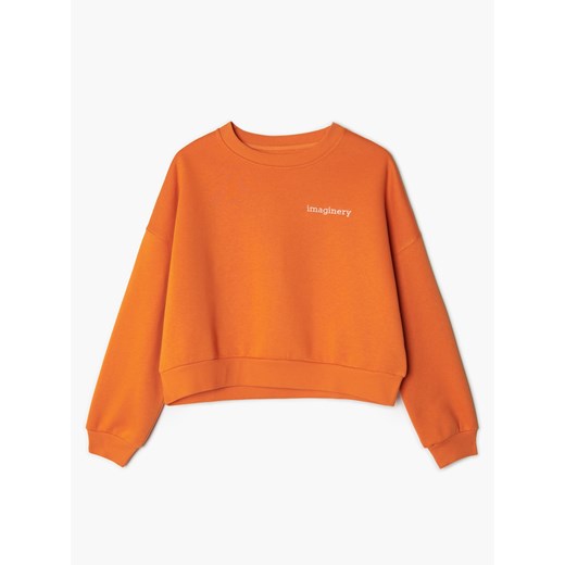 Cropp - Pomarańczowa bluza z haftem - Pomarańczowy Cropp M Cropp