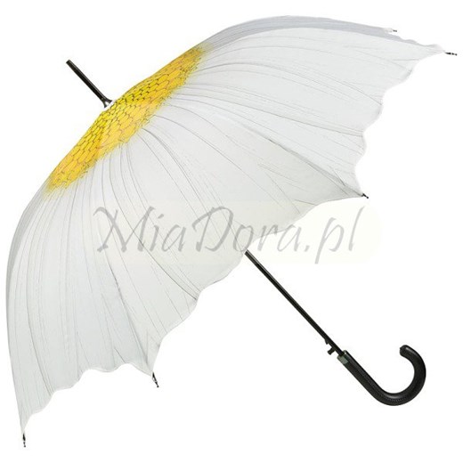Margerytka - Parasol długi ze skórzaną rączką parasole-miadora-pl bialy długie