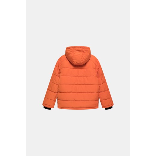DKNY Kurtka - Pomarańczowy - Chłopiec - 14-16 LAT(A)(164CM) 10-12 LAT(A)(146CM) Halfprice okazja