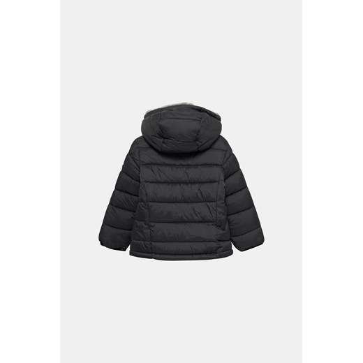 DKNY Kurtka - Czarny - Chłopiec - 5-6 LAT(A)(116CM) 5-6 LAT(A)(116CM) Halfprice