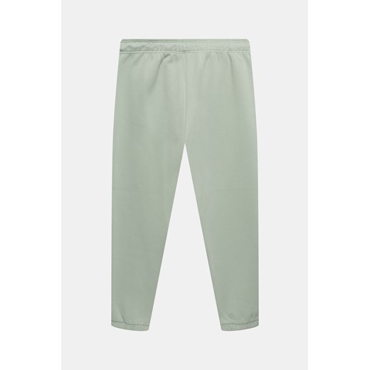 DICKIES Spodnie dresowe - Zielony jasny - Mężczyzna - XS(XS) Dickies XS(XS) okazyjna cena Halfprice