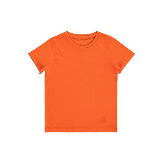 T-shirt chłopięce IVET