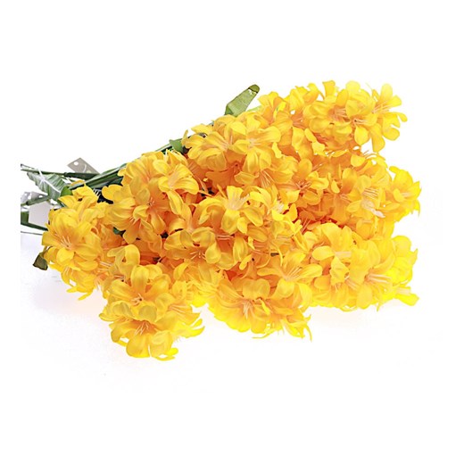 Dekoracja Pantofelek24 