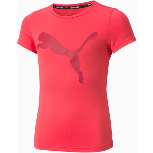 Koszulka młodzieżowa Active Youth Tee Puma Puma 164cm promocja SPORT-SHOP.pl