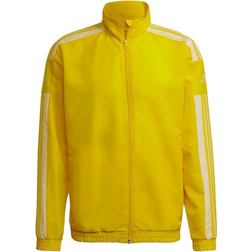 Bluza męska Squadra 21 Presentation Jacket Adidas ze sklepu SPORT-SHOP.pl w kategorii Bluzy męskie - zdjęcie 154228742