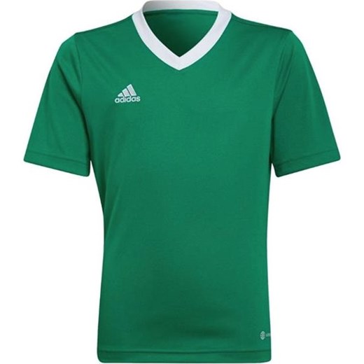 Koszulka juniorska Entrada 22 Jersey Adidas ze sklepu SPORT-SHOP.pl w kategorii T-shirty chłopięce - zdjęcie 154238910