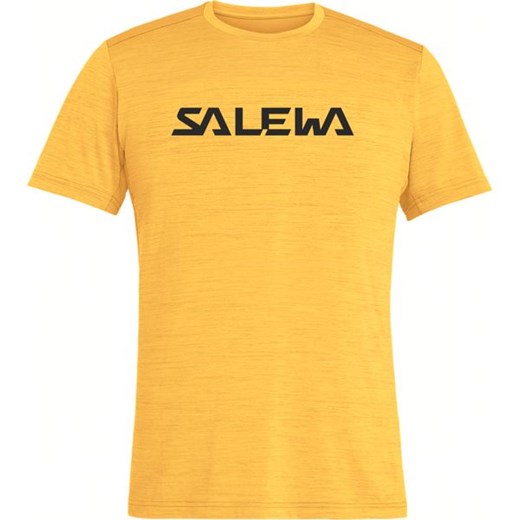 Koszulka męska Puez Hybrid 2 Dry Salewa ze sklepu SPORT-SHOP.pl w kategorii T-shirty męskie - zdjęcie 154266630
