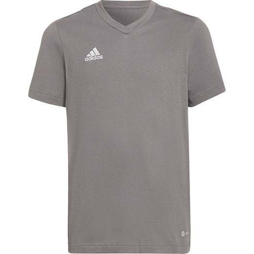 Koszulka juniorska Entrada 22 Adidas ze sklepu SPORT-SHOP.pl w kategorii T-shirty chłopięce - zdjęcie 154267434