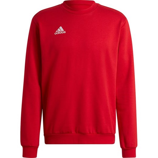 Bluza męska Adidas jesienna 