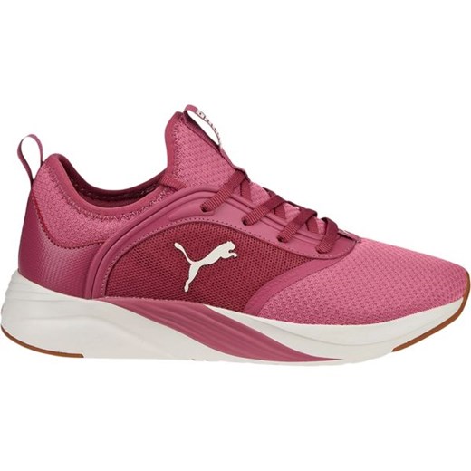 Buty Softride Ruby Wm's Puma ze sklepu SPORT-SHOP.pl w kategorii Buty sportowe damskie - zdjęcie 154286832