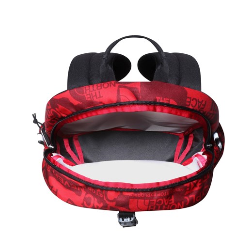 Plecak Dziecięcy The North Face MINI RECON The North Face Uniwersalny a4a.pl