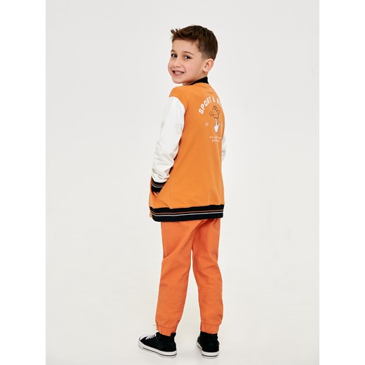 Sinsay - Bluza bejsbolówka - Wielobarwny Sinsay 122 Sinsay