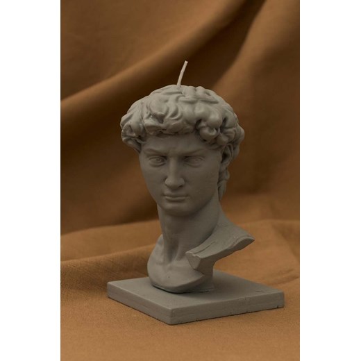 Świeca/dyfuzor Really Nice Things 