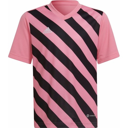 Koszulka juniorska Entrada 22 Graphic Jersey Adidas ze sklepu SPORT-SHOP.pl w kategorii T-shirty chłopięce - zdjęcie 156956960