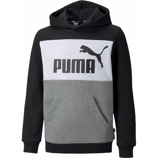Bluza juniorska Essentials Block Hoodie Puma ze sklepu SPORT-SHOP.pl w kategorii Bluzy chłopięce - zdjęcie 157049402