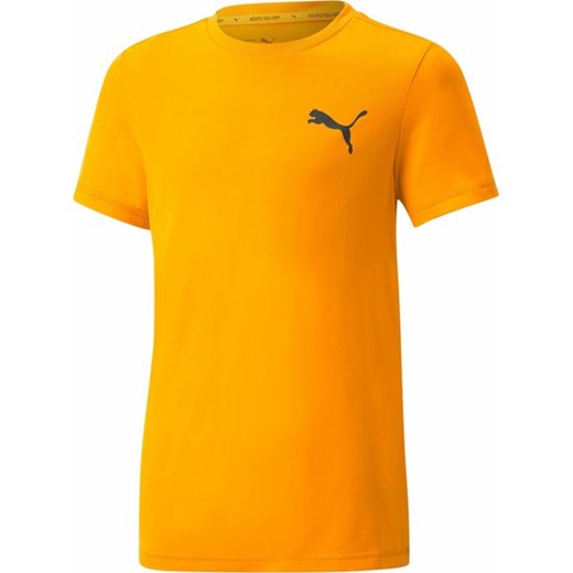 T-shirt chłopięce pomarańczowa Puma 