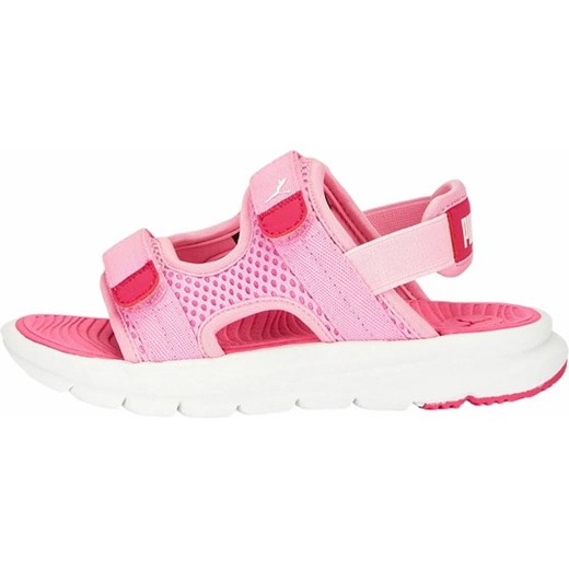 Sandały Evolve Sandal PS Jr Puma ze sklepu SPORT-SHOP.pl w kategorii Sandały dziecięce - zdjęcie 157547572