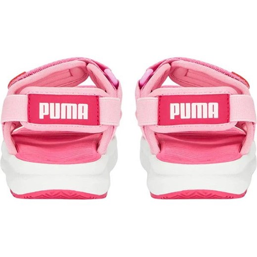 Sandały Evolve Sandal Jr Puma Puma 37 okazja SPORT-SHOP.pl
