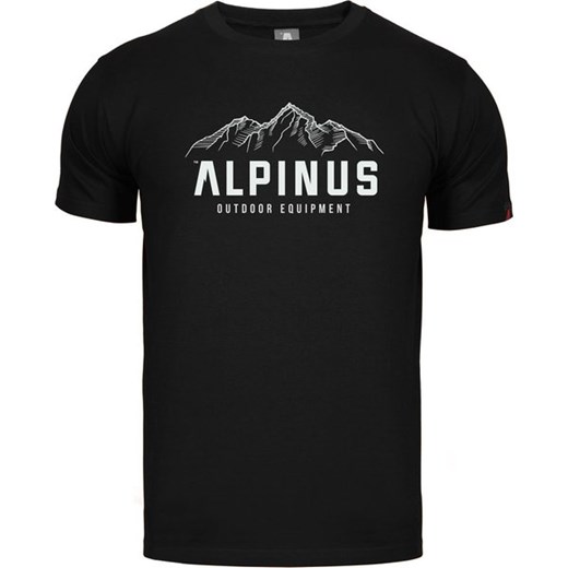 Koszulka męska Mountains Alpinus ze sklepu SPORT-SHOP.pl w kategorii T-shirty męskie - zdjęcie 159069103