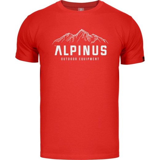 Koszulka męska Mountains Alpinus ze sklepu SPORT-SHOP.pl w kategorii T-shirty męskie - zdjęcie 159069194