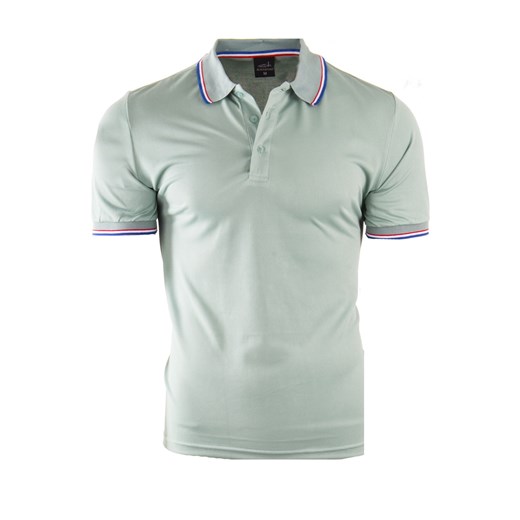 koszulka polo YP206 - zielona ze sklepu Risardi w kategorii T-shirty męskie - zdjęcie 160910764