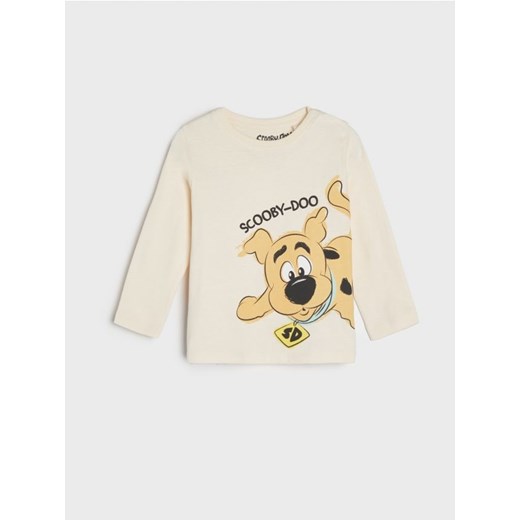 Sinsay - Koszulka Scooby Doo - beżowy Sinsay 74 promocja Sinsay