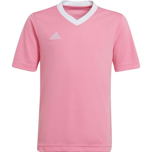 Koszulka juniorska Entrada 22 Jersey Adidas ze sklepu SPORT-SHOP.pl w kategorii Bluzki dziewczęce - zdjęcie 161664324