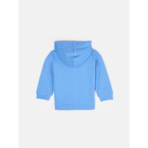 Bluza/sweter Gate