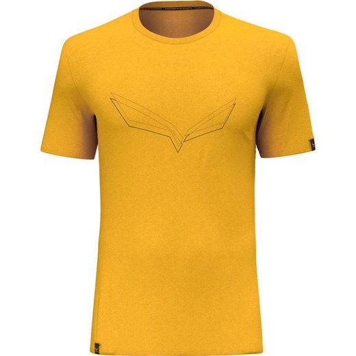 Koszulka męska Pure Eagle Frame Dry Salewa ze sklepu SPORT-SHOP.pl w kategorii T-shirty męskie - zdjęcie 163448771