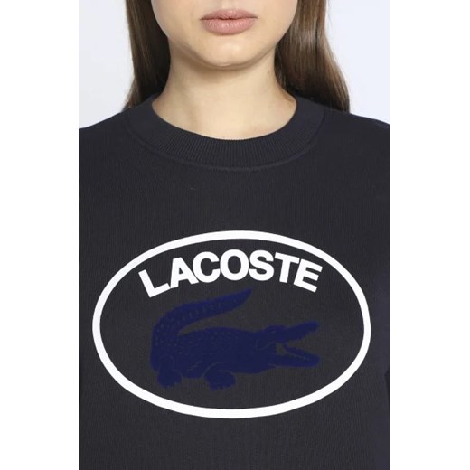 Lacoste Bluza | Regular Fit Lacoste 40 Gomez Fashion Store promocyjna cena