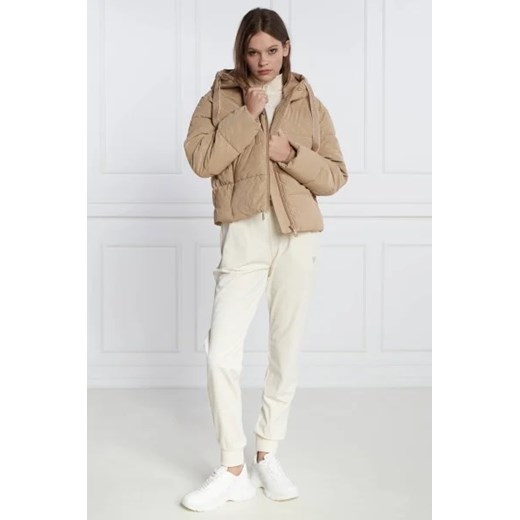 GUESS JEANS Kurtka | Regular Fit L Gomez Fashion Store