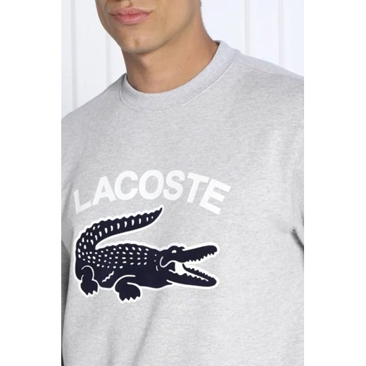 Lacoste Bluza | Classic fit Lacoste XL Gomez Fashion Store okazja