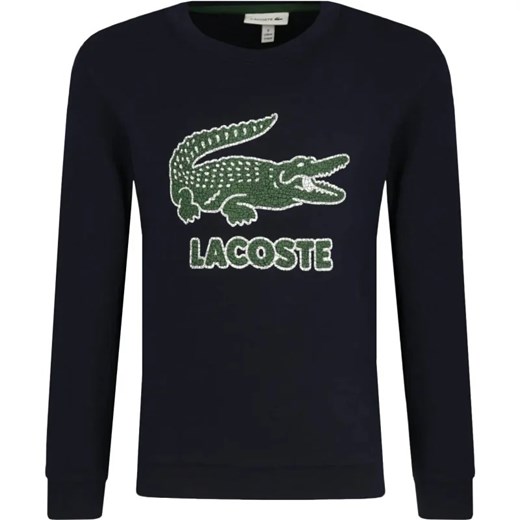 Lacoste Bluza | Regular Fit ze sklepu Gomez Fashion Store w kategorii Bluzy chłopięce - zdjęcie 164318661