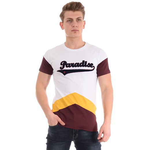 Męska Koszulka T-Shirt ze sklepu brendi.pl w kategorii T-shirty męskie - zdjęcie 164358393