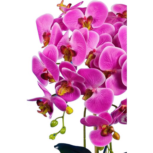 Fioletowy storczyk orchidea- sztuczne kwiaty 60 cm 3pgoc Pantofelek24 60 cm. Pantofelek24.pl Jacek Włodarczyk