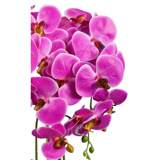 Fioletowy storczyk orchidea- sztuczne kwiaty 60 cm 3pgoc Pantofelek24 60 cm. Pantofelek24.pl Jacek Włodarczyk