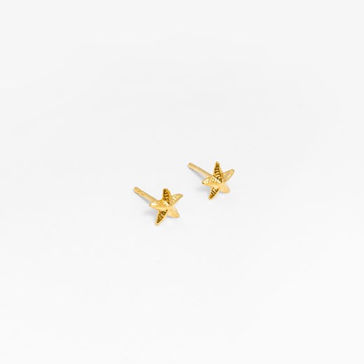 kolczyki rozgwiazdy srebrne pozłacane ze sklepu ANIA KRUK w kategorii Kolczyki - zdjęcie 165591990