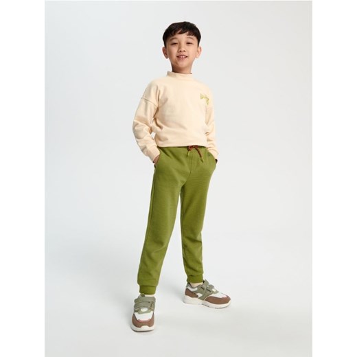 Sinsay - Spodnie dresowe jogger - zielony ze sklepu Sinsay w kategorii Spodnie chłopięce - zdjęcie 165602422