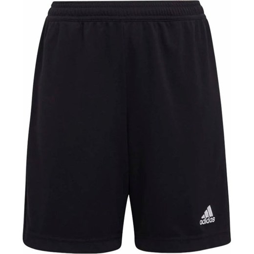 Spodenki dresowe juniorskie Entrada 22 Adidas ze sklepu SPORT-SHOP.pl w kategorii Spodenki chłopięce - zdjęcie 165791852