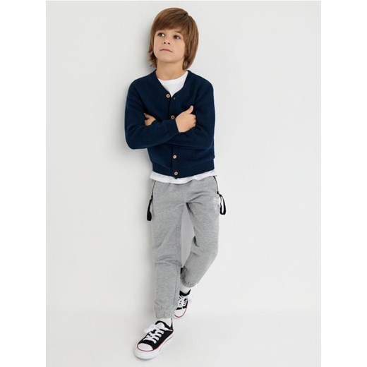 Sinsay - Spodnie dresowe jogger - szary ze sklepu Sinsay w kategorii Spodnie chłopięce - zdjęcie 166446030