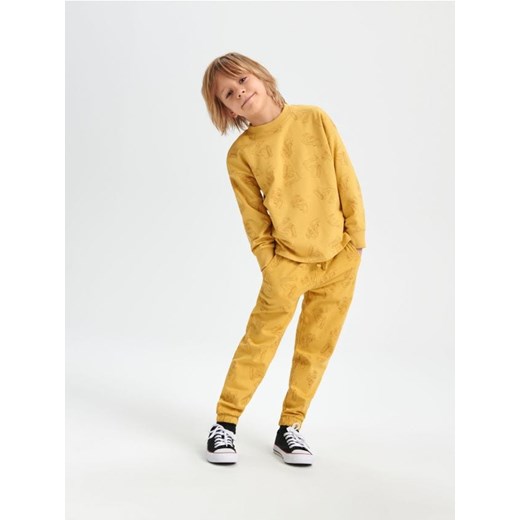 Sinsay - Spodnie dresowe jogger - żółty ze sklepu Sinsay w kategorii Spodnie chłopięce - zdjęcie 166589700